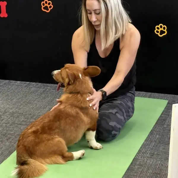 Playful puppy at a K9 Rox Club yoga class